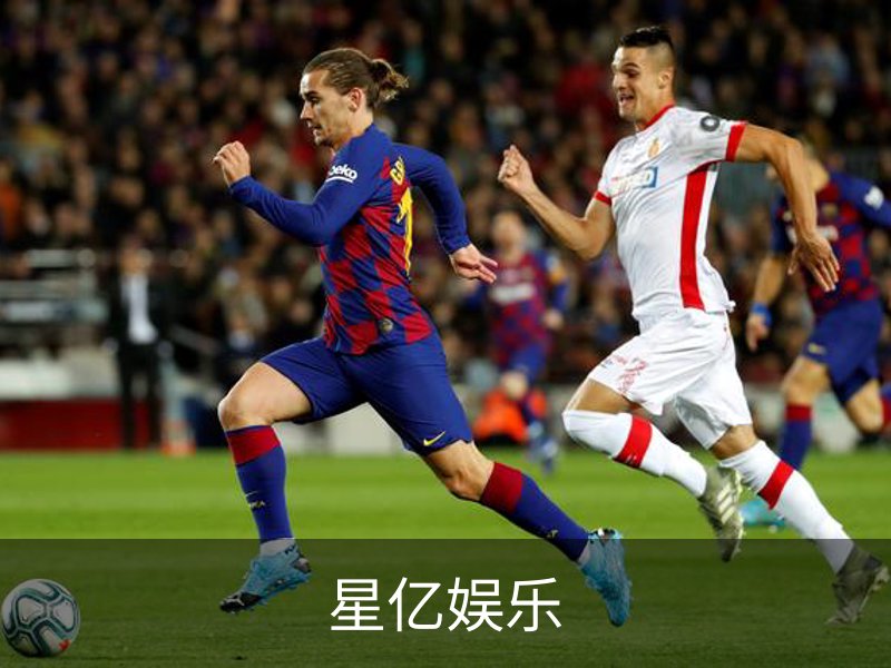 企业介绍